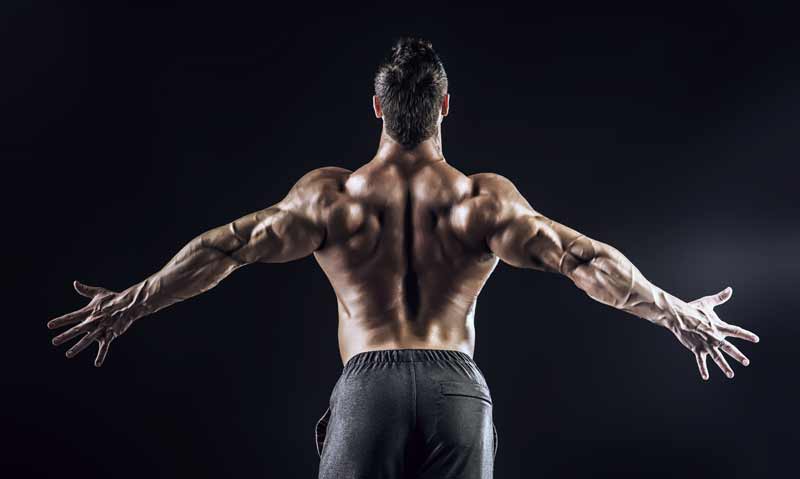 How To Train Your Back Like A Championship Bodybuilder - Pro Prep-demhanvico.com.vn